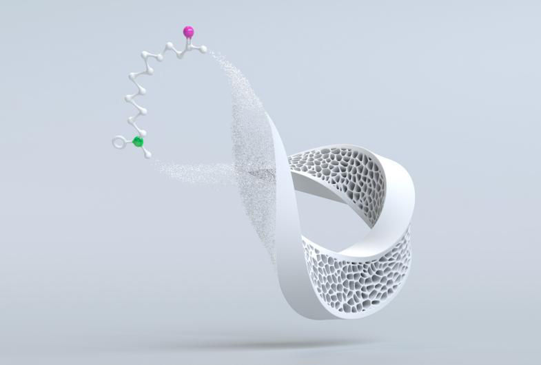 3D illustration of a porous, twisted white structure connected to a molecular model with colored spheres.