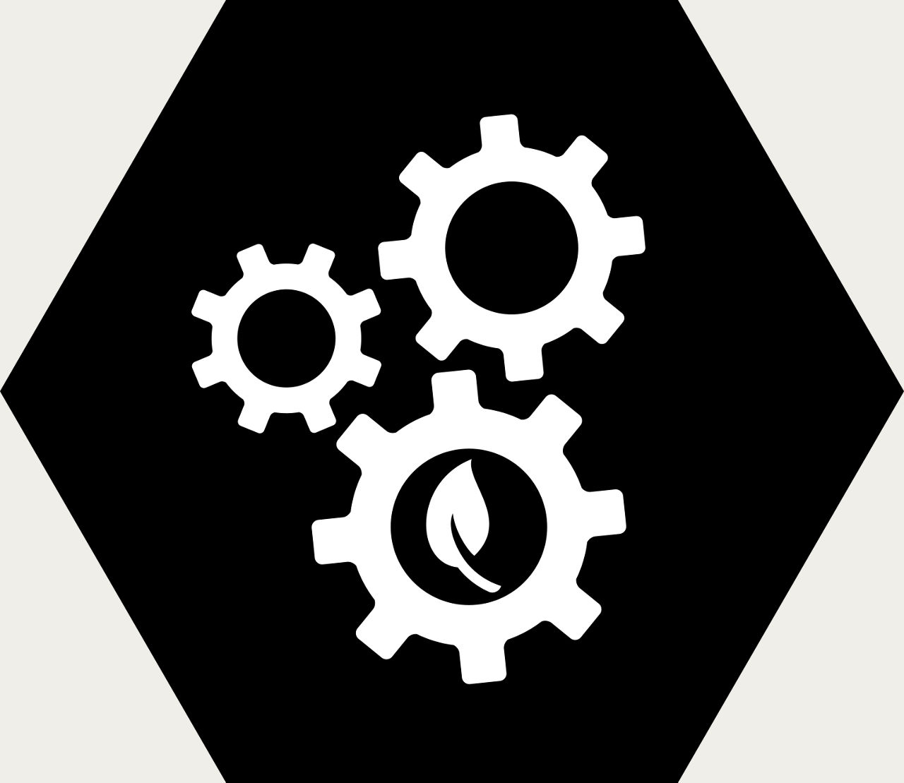 Alternative image