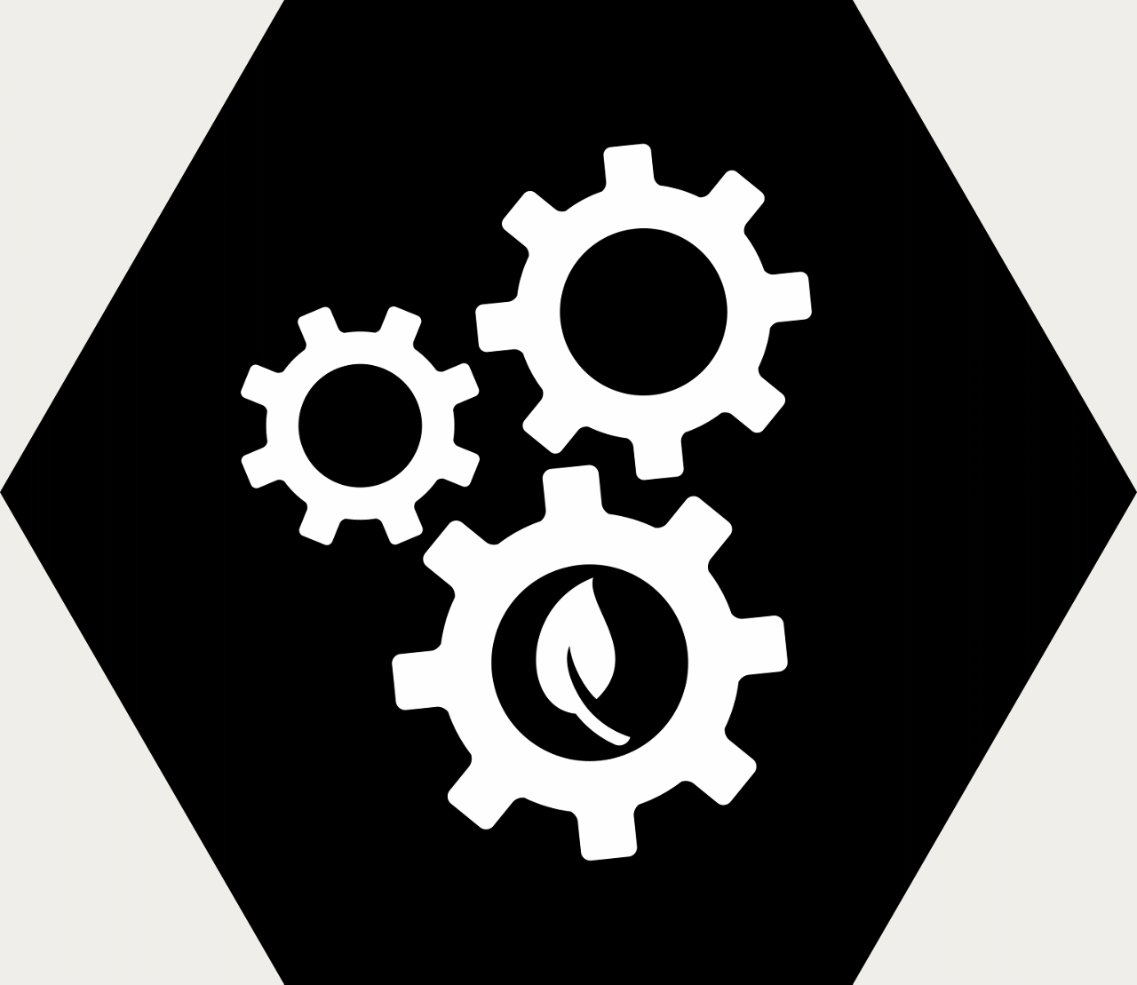 Alternative image