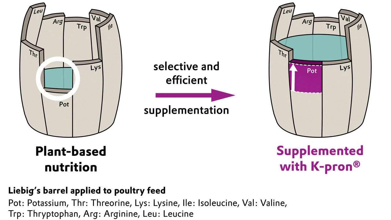 Alternative image