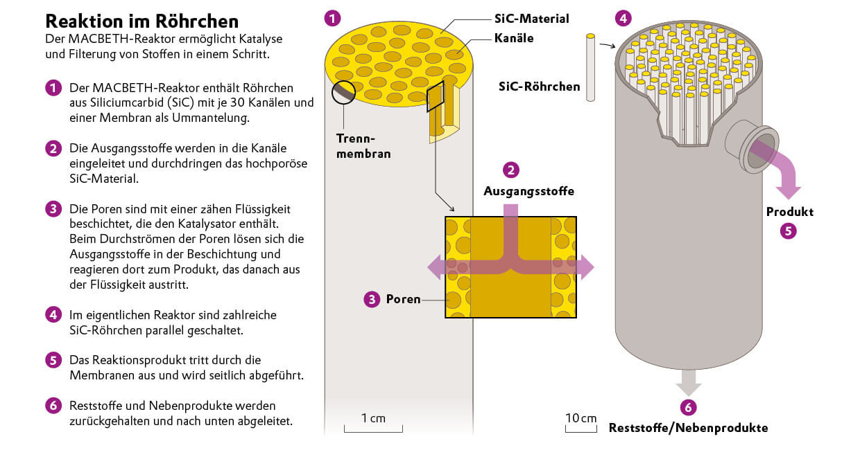 Die Reaktion in schematischer Darstellung.