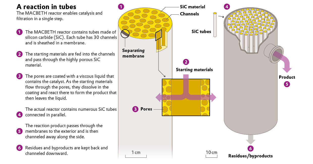 Graphic Macbeth reactor