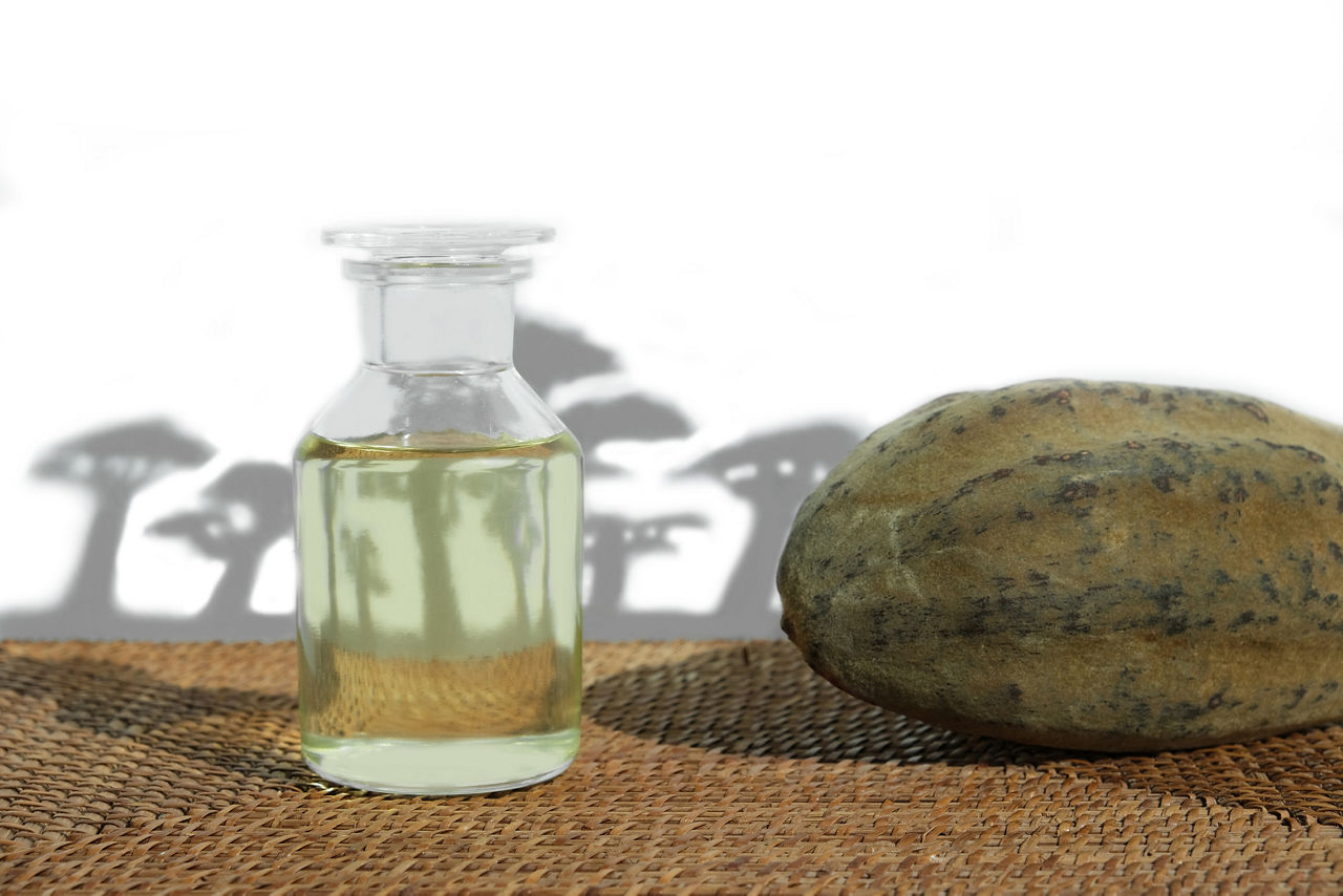 Baobab Tree Fruit and Oil 