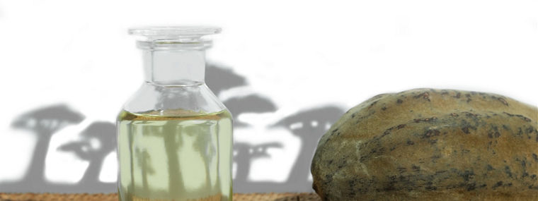 Baobab Tree Fruit and Oil 