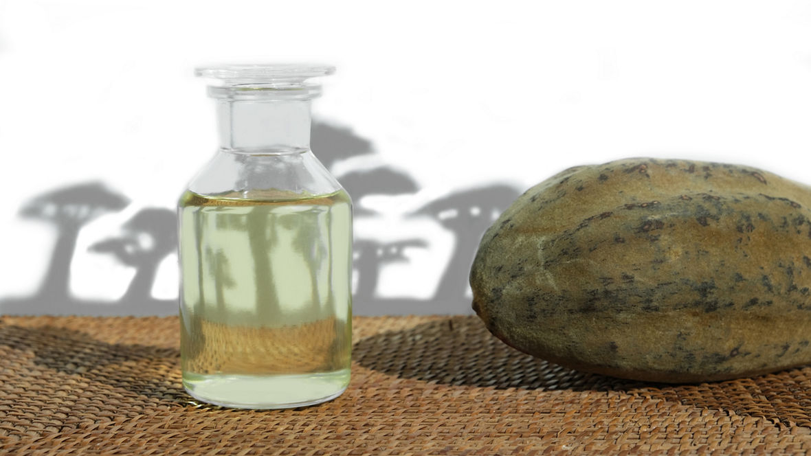 Baobab Tree Fruit and Oil 
