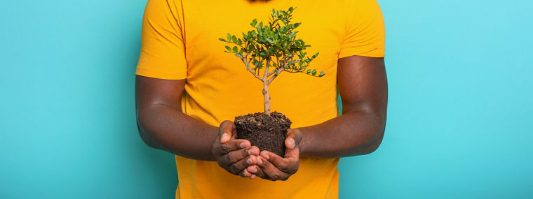 306027215_Happy black surprised boy hold a small tree ready to be planted. Concept of forestation