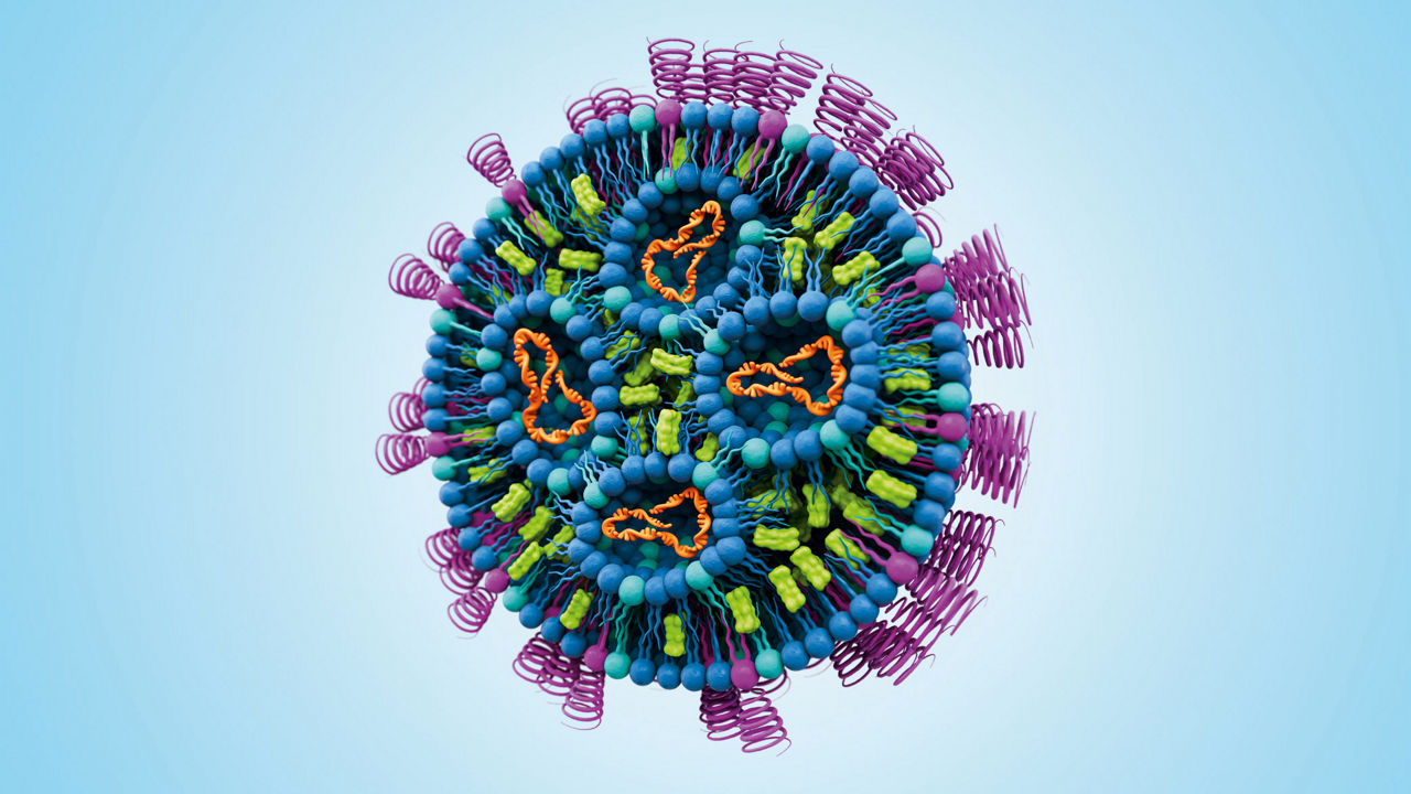 Schematische Darstellung eines Lipidnanopartikels
--
Schematic representation of a lipid nanoparticle