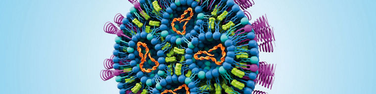 Schematische Darstellung eines Lipidnanopartikels
--
Schematic representation of a lipid nanoparticle
