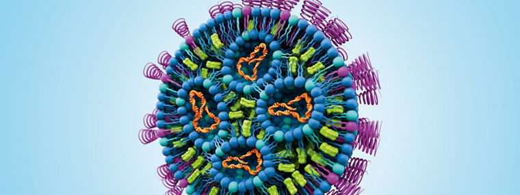 Schematische Darstellung eines Lipidnanopartikels
--
Schematic representation of a lipid nanoparticle