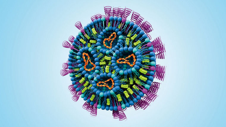 Schematische Darstellung eines Lipidnanopartikels
--
Schematic representation of a lipid nanoparticle