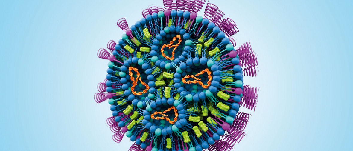 Schematische Darstellung eines Lipidnanopartikels
--
Schematic representation of a lipid nanoparticle
