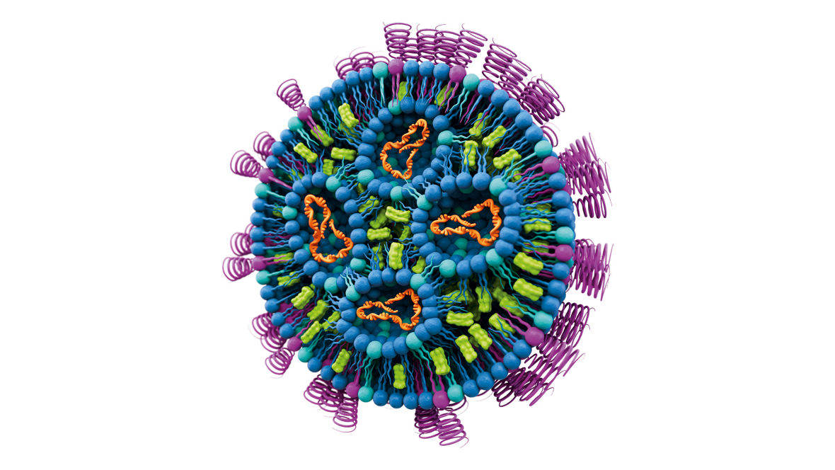 Schematische Darstellung eines Lipidnanopartikels
--
Schematic representation of a lipid nanoparticle
