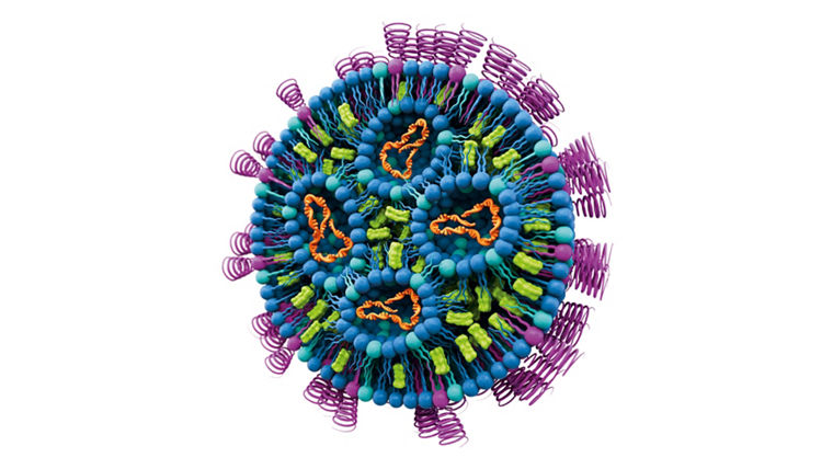 Schematic representation of a lipid nanoparticle