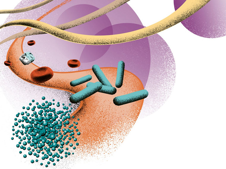 An ornamental graphic