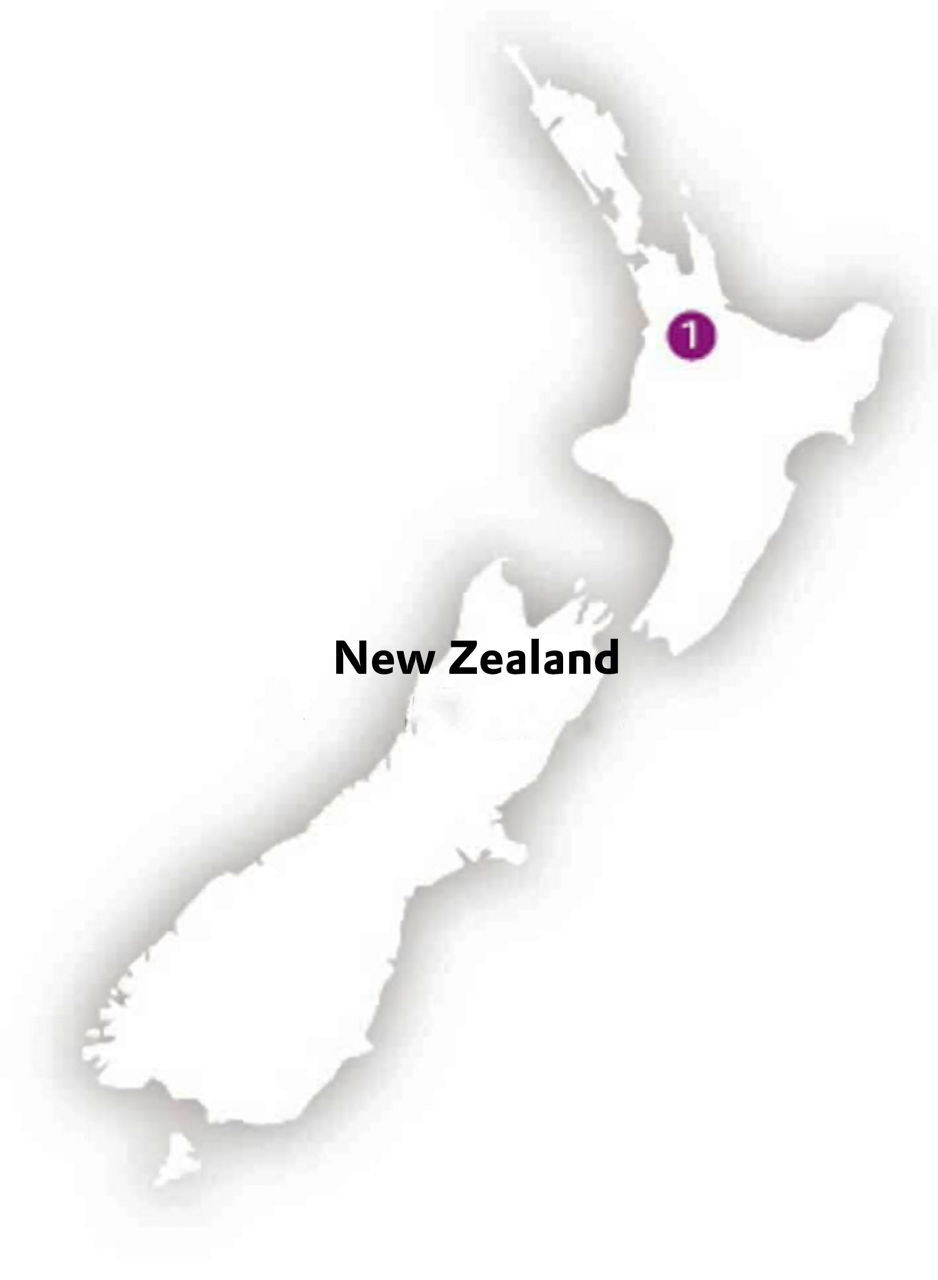 A map of New Zealand with a marker in the north for the Evonik site at Morrinsville.