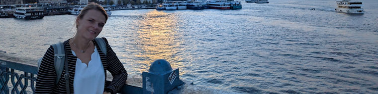 A person stands on a bridge overlooking the water at sunset, with boats and a city skyline in the background.