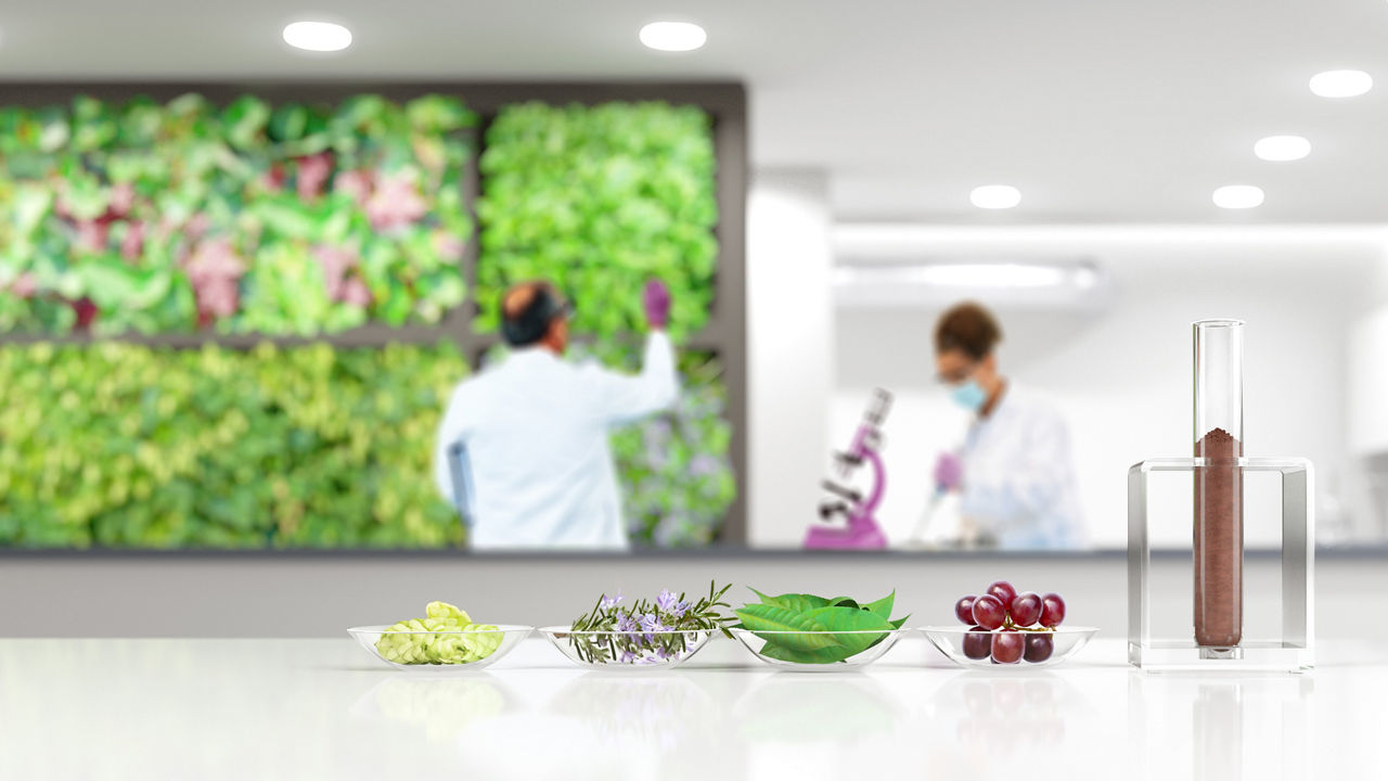 A laboratory scene featuring a man in a white lab coat standing in front of a vertical garden bed, with another person looking into a microscope. In the foreground, there are four petri dishes with plant parts and fruits and a test tube containing PhytriCare® IM.