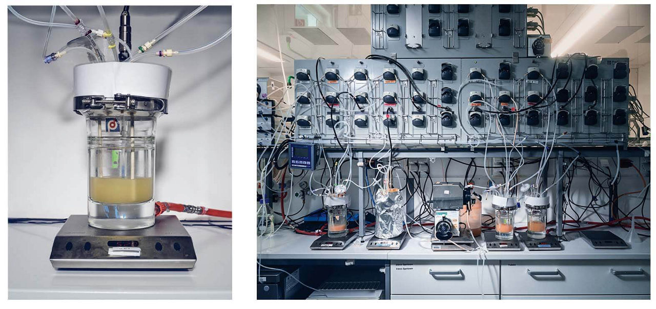 Two pictures, the one on the left shows a glass vessel with connected tubes, the real one shows all five vessels of the chicken intestine model.