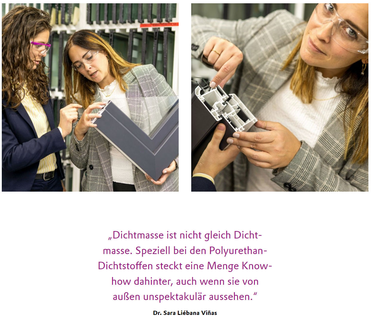 Alternativbild