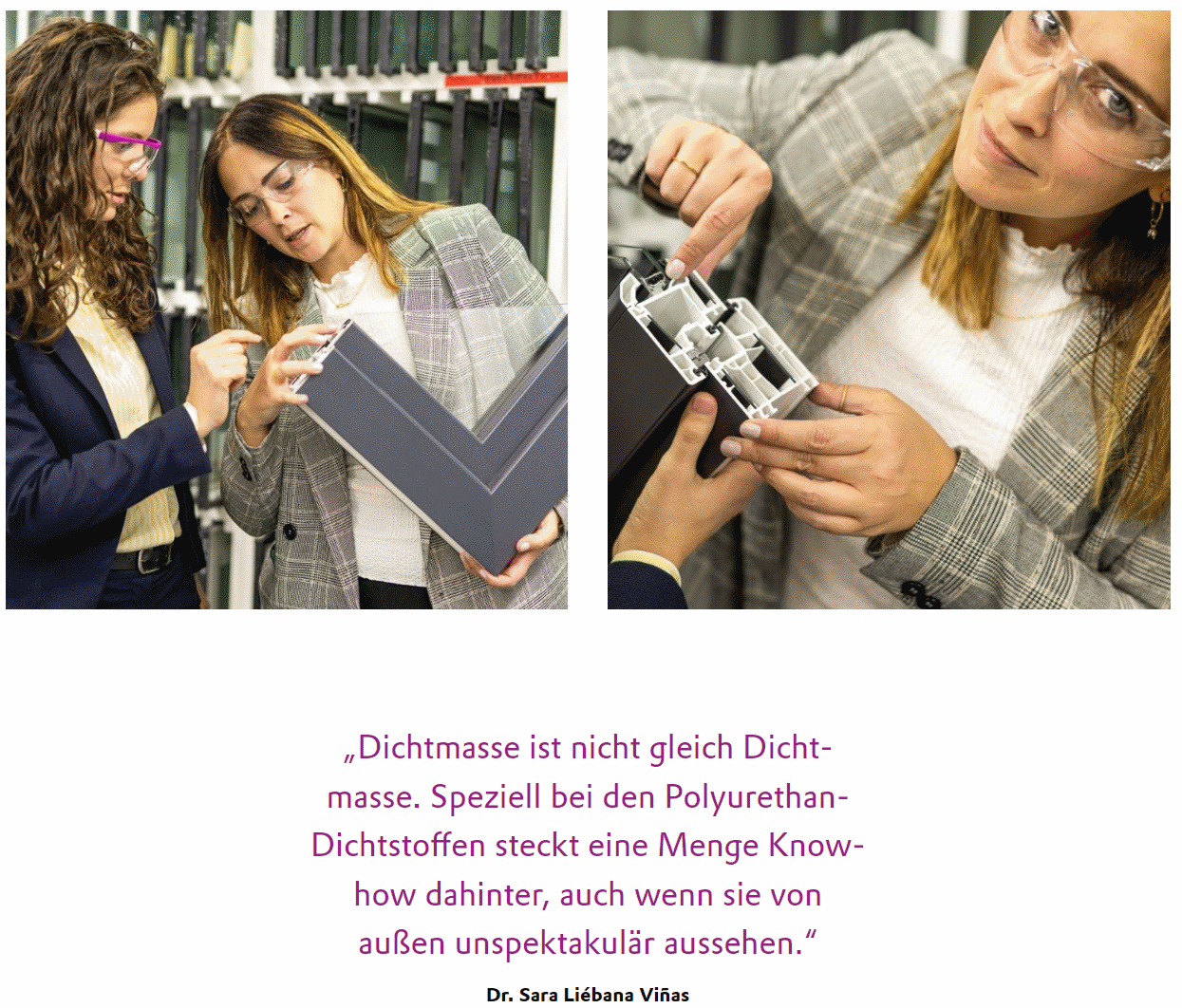 Alternativbild