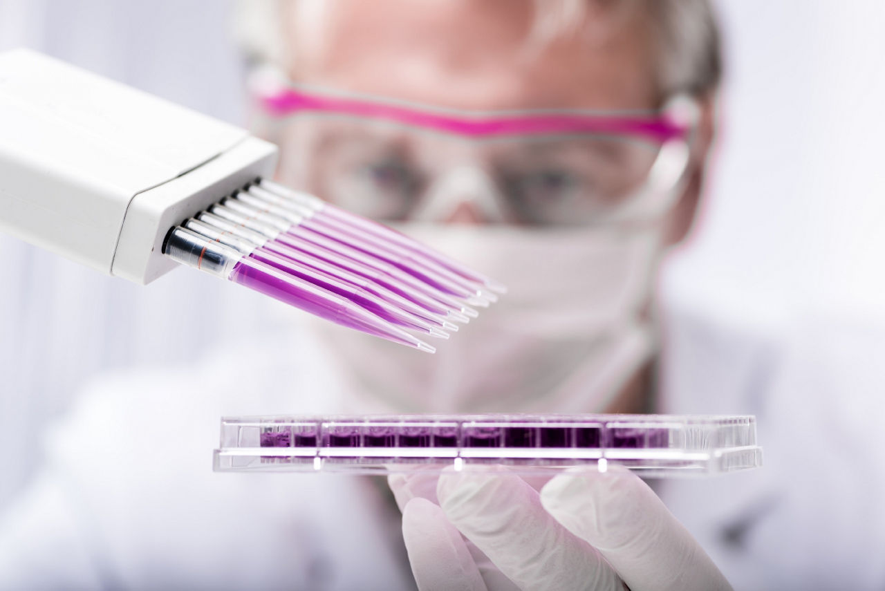 A scientist uses a pipette to transfer purple liquid into a multi-well plate in a laboratory setting.