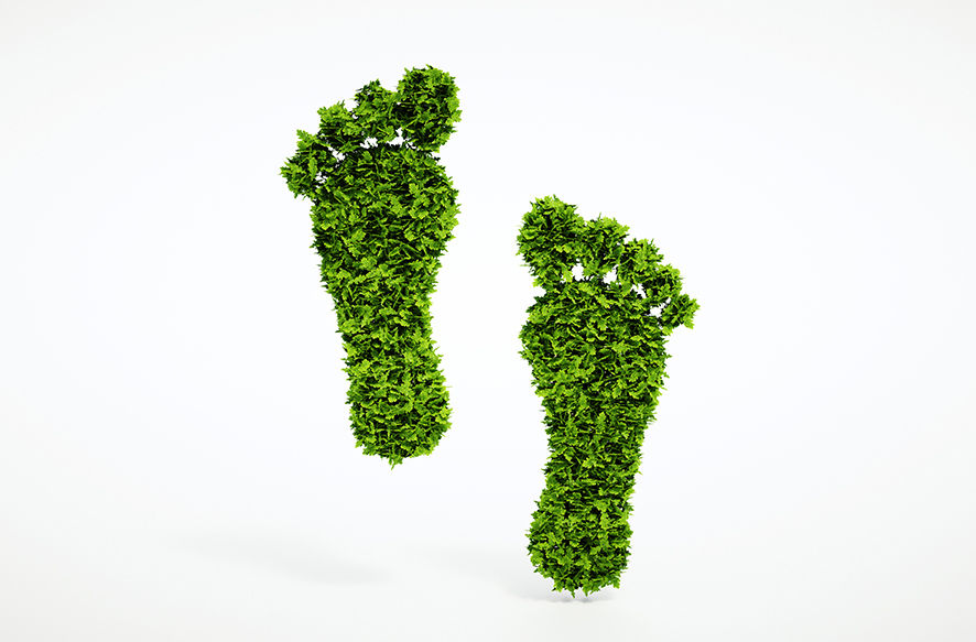 Green footprints from leaves
Grüne Fußabdrücke aus Blättern
