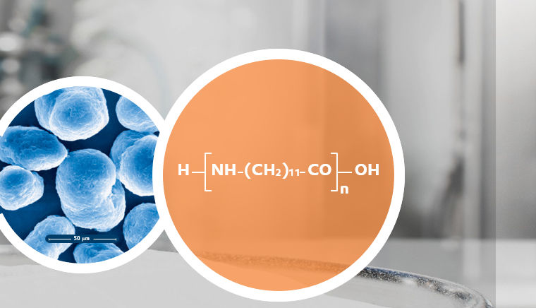 Explore the properties and applications of VESTOSINT® Polyamide 12 powders for advanced manufacturing and 3D printing.