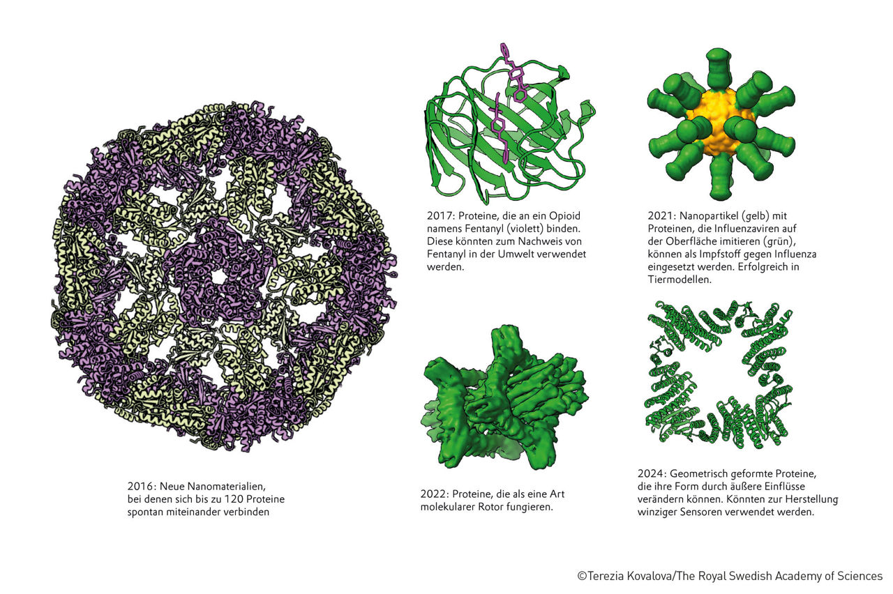 Figure_4_eng_241004_