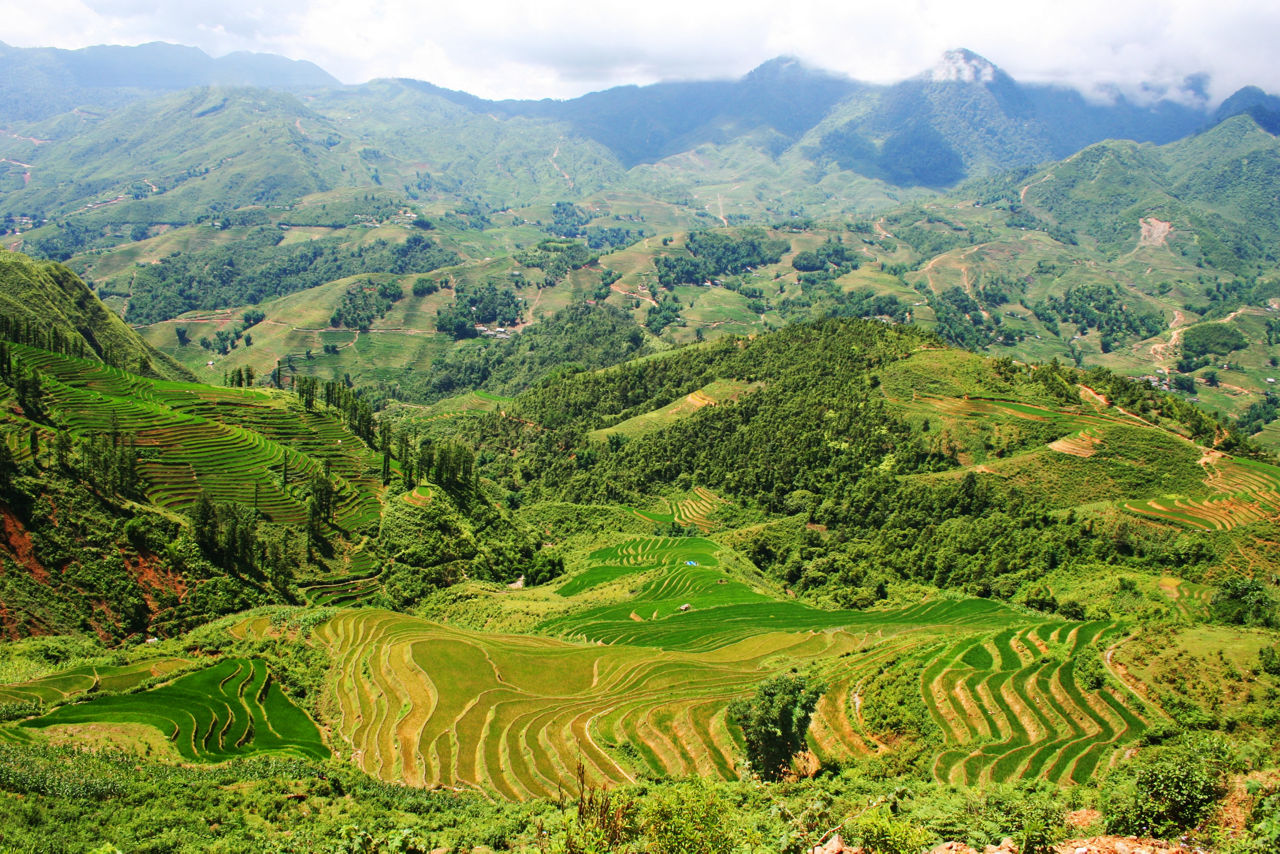 Terrassenförmige Reisfelder