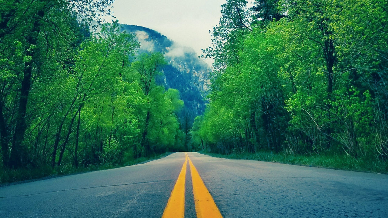 You can see in our climate neutrality roadmap where we are right now and what road still lies ahead.