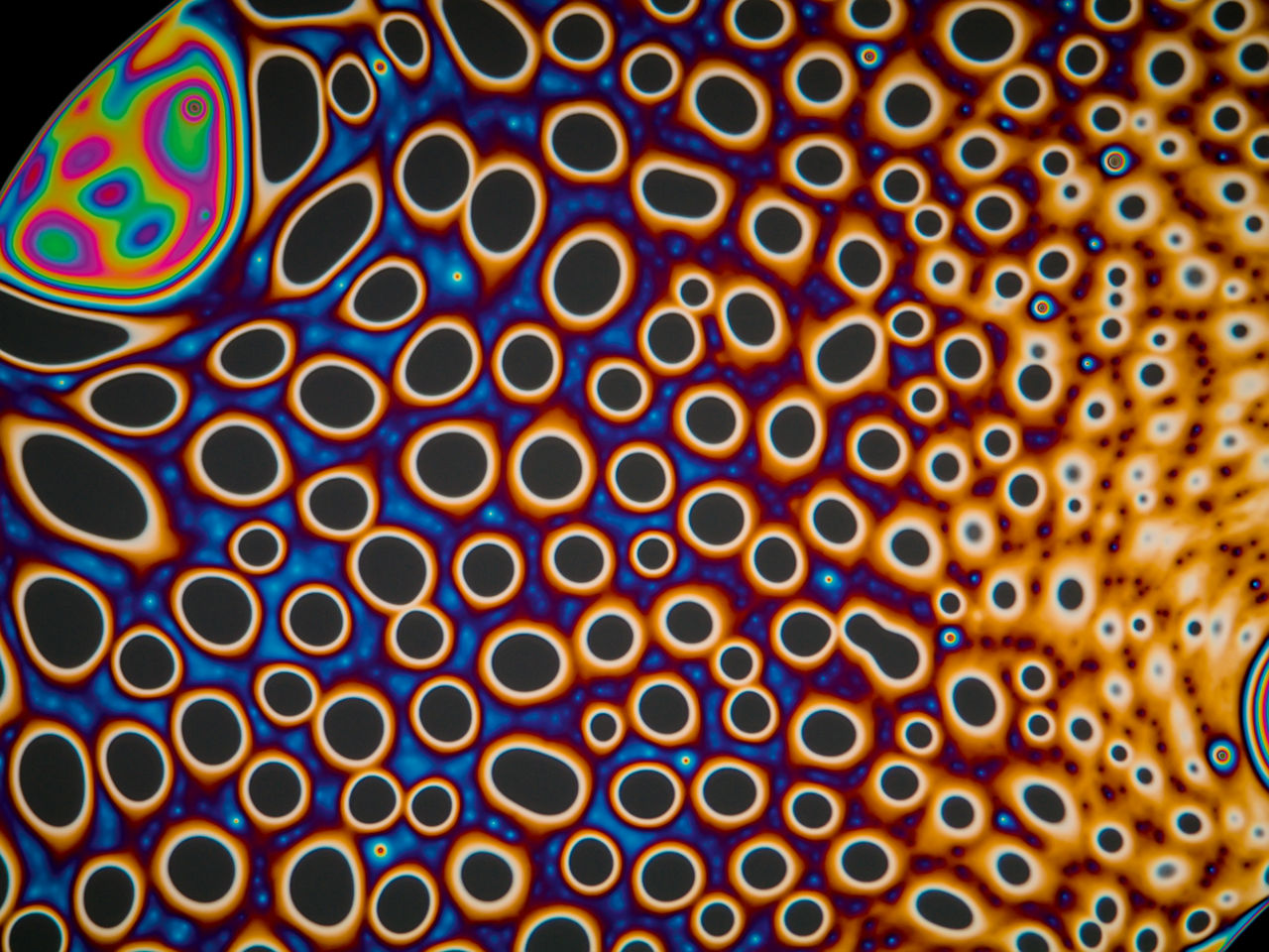 Runde, sehr farbige Formen