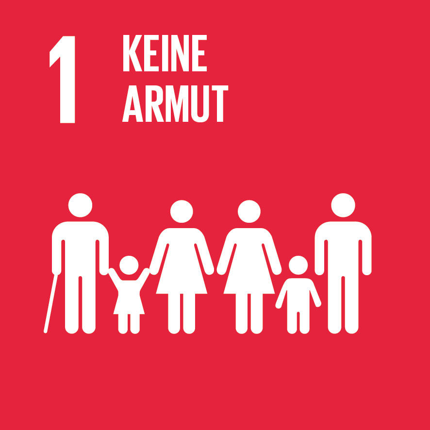 Sustainable Development Goals_icons-1