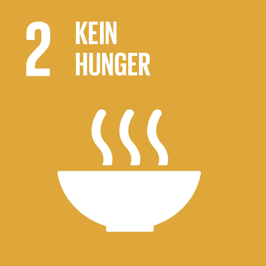 Sustainable Development Goals_icons-2