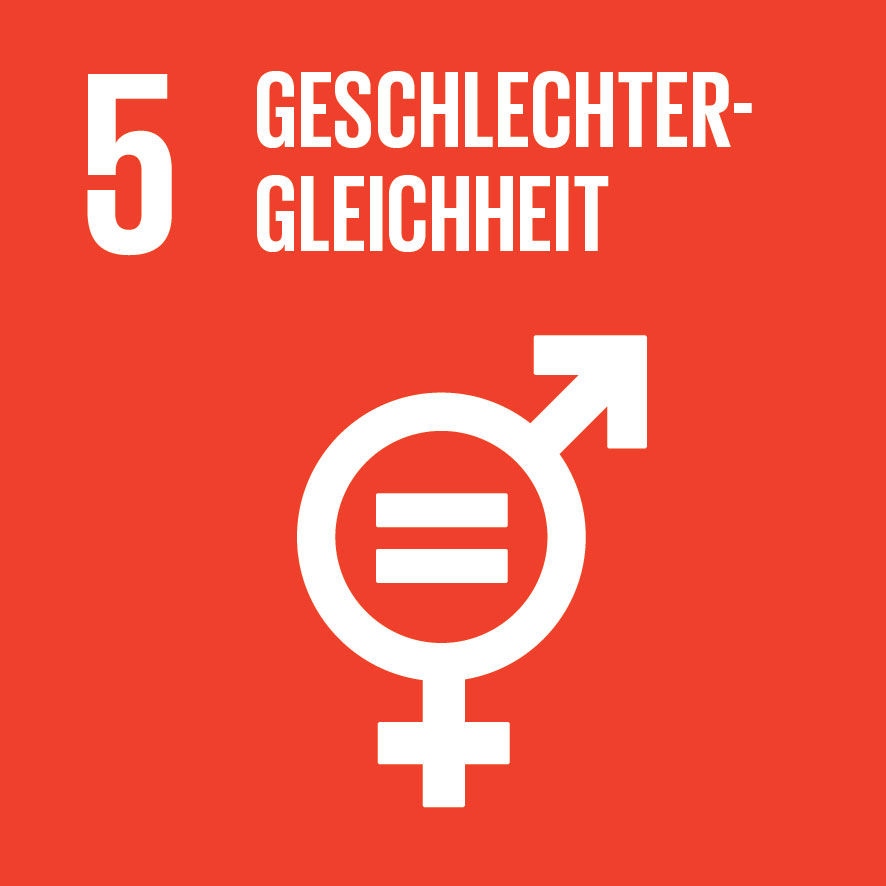 Sustainable Development Goals_icons-5