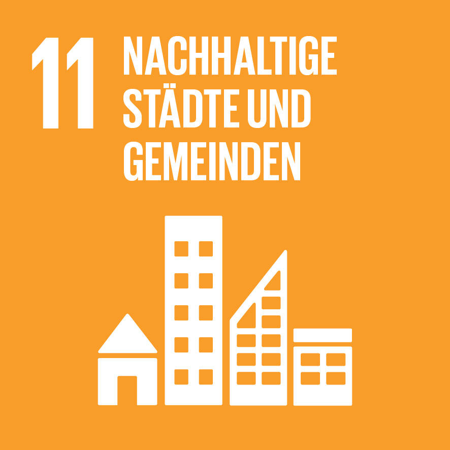 Sustainable Development Goals_icons-11