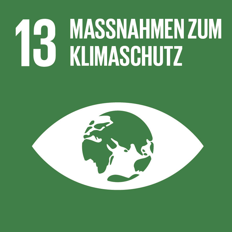 Sustainable Development Goals_icons-13