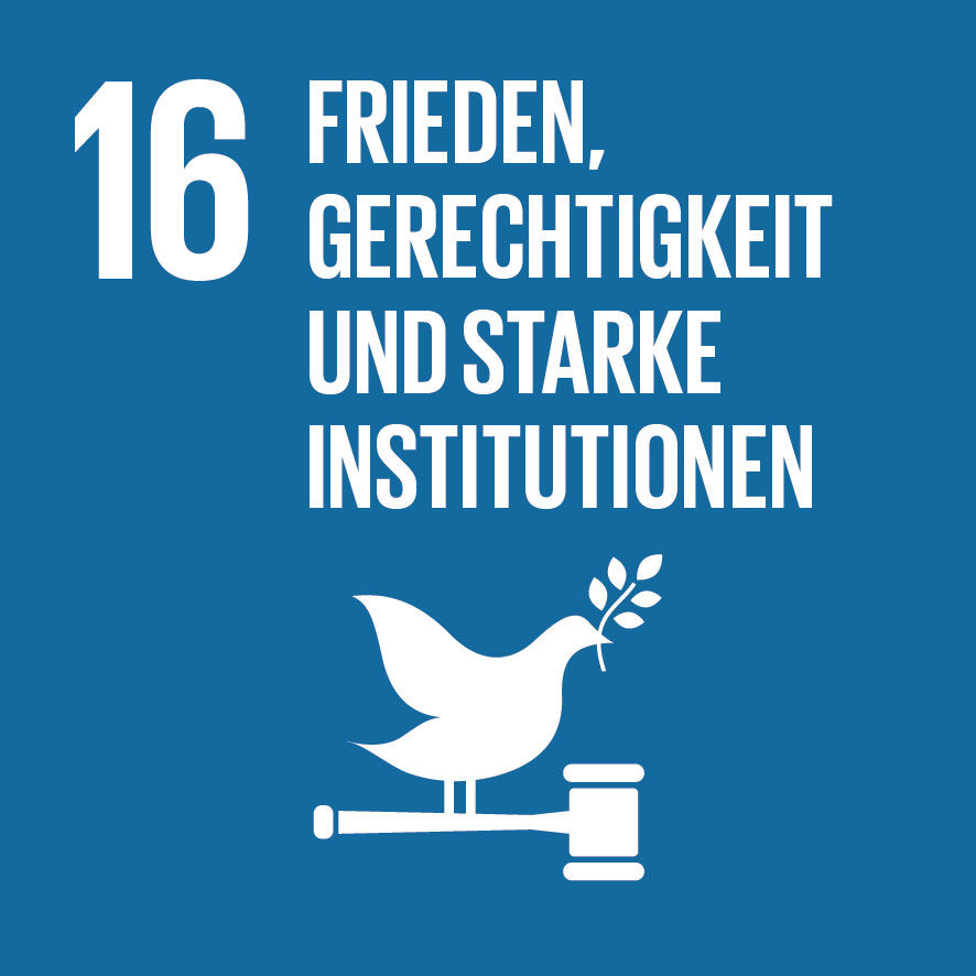 Sustainable Development Goals_icons-16