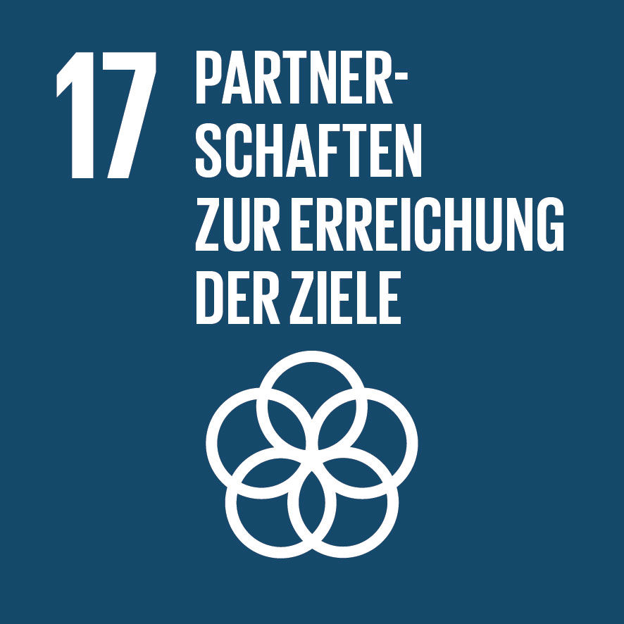 Sustainable Development Goals_icons-17
