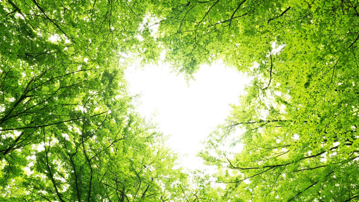Sustainability