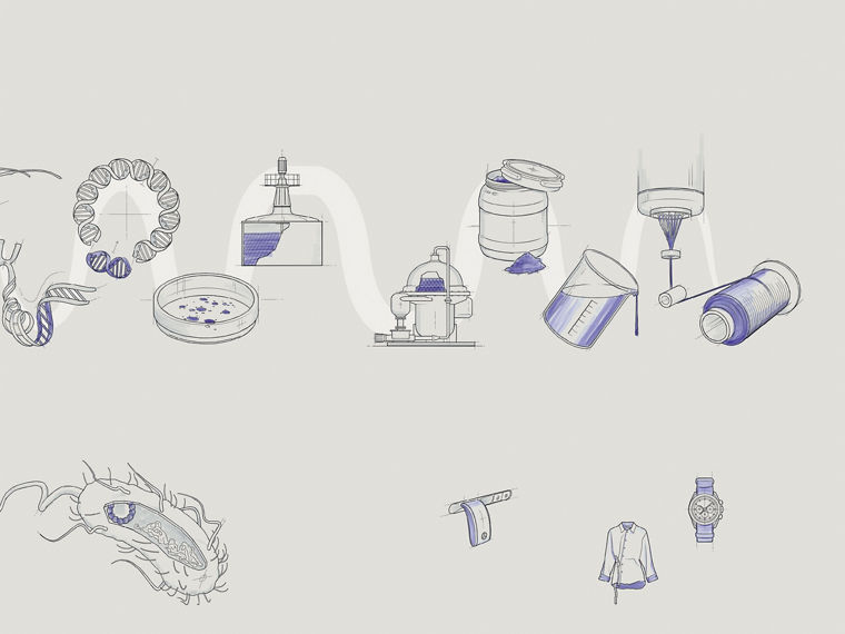 The graphics that describe the path to the product.