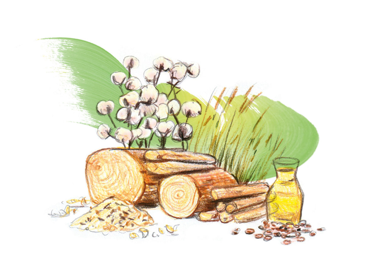 Eine Zeichnung zeigt Holz, Blumen und eine Flüssigkeit.