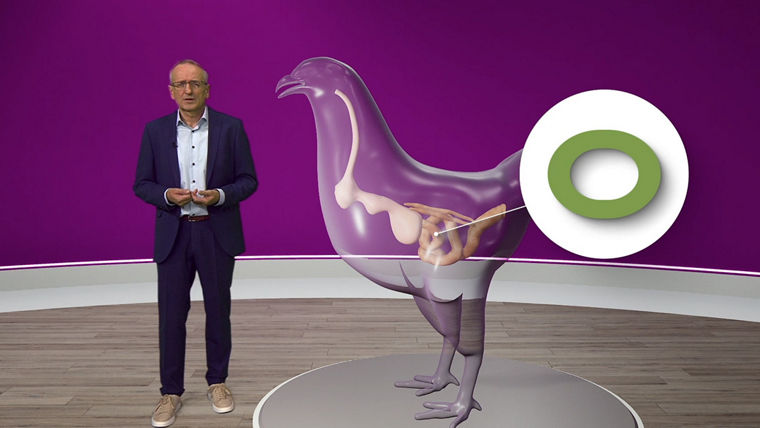 Alternativbild