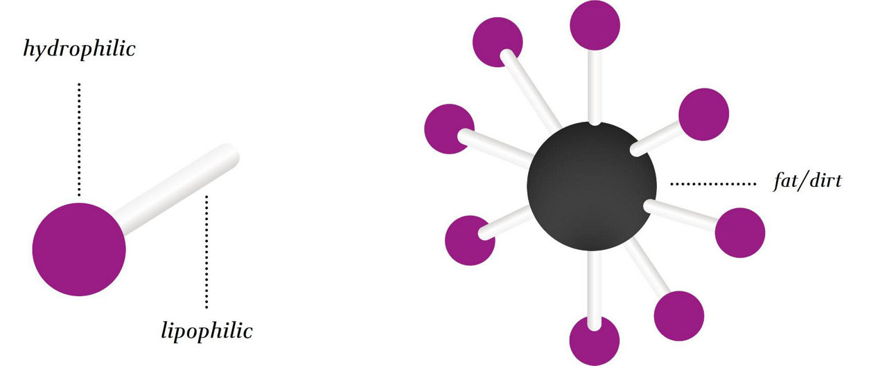Surfactants infographic