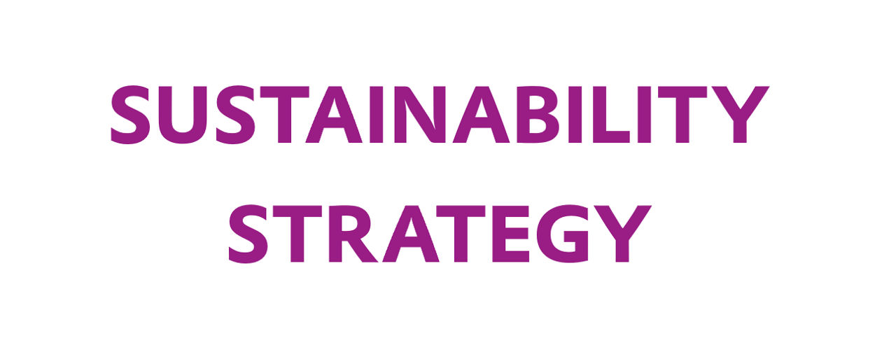 Sustainability Strategy Grafik