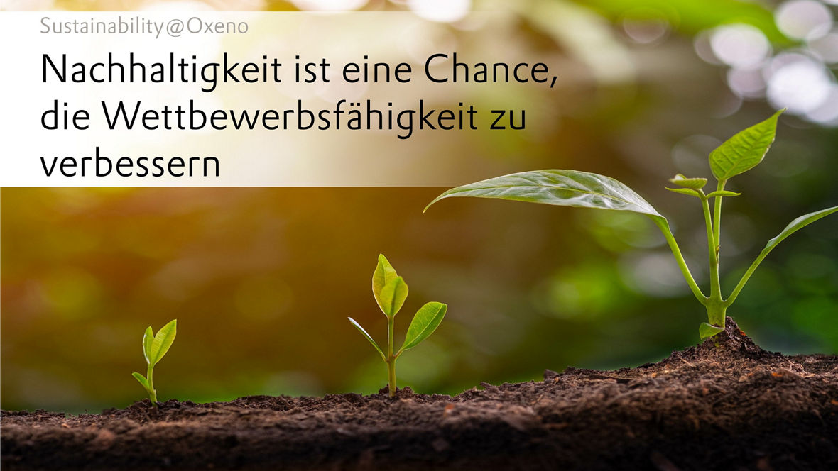 Alternativbild
