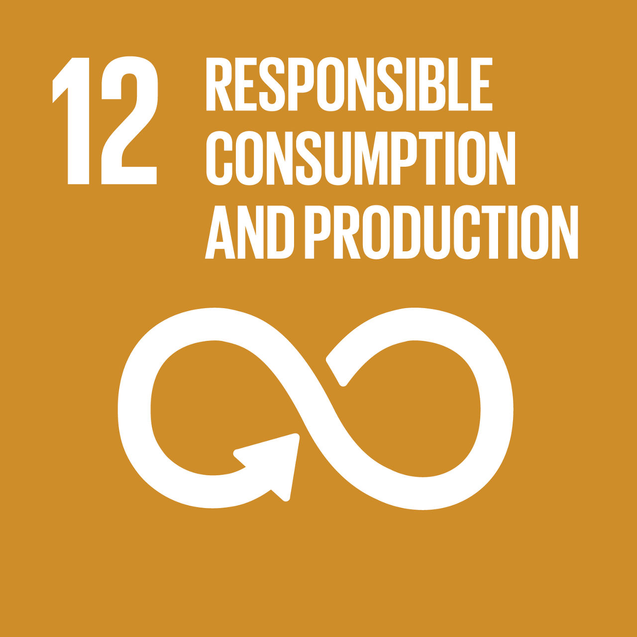 Symbol SDG 12