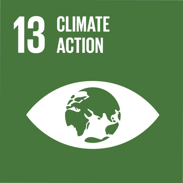 Symbol SDG 13