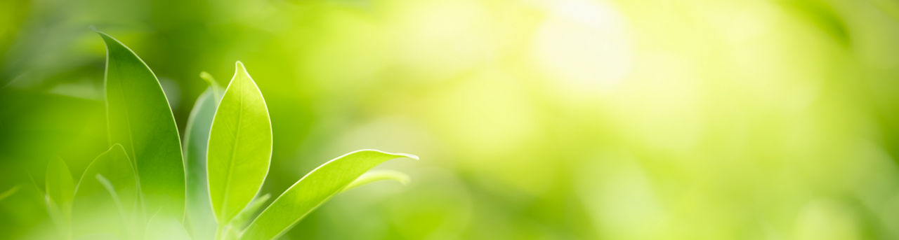 BL OA VISIOMER Terra sustainable specialty methacrylates 