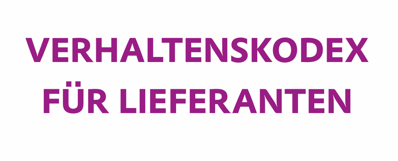 Verhaltenscodex für Lieferanten Grafik