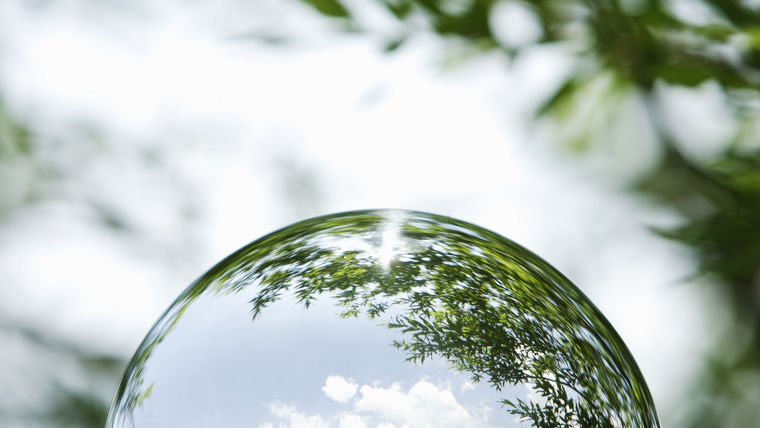 'Trees mirrored in a glass ball Bäume gespiegelt in einer Glaskugel  '